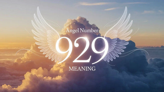 929 Angel Number Meaning in Love, Twin Flame, Career, Money, and Spiritual Life